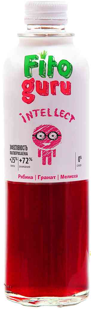 Напиток сокосодержащий Fitoguru Intelect гранат-черноплодная рябина-мелисса, 330мл