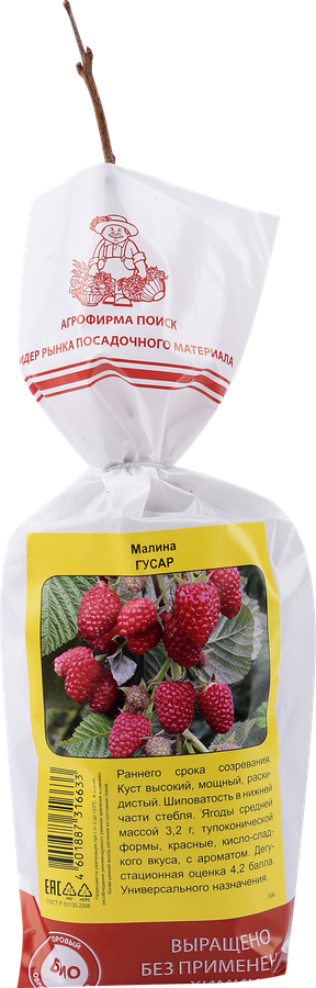 Саженец плодовый ПОИСК Малина, традиционные сорта