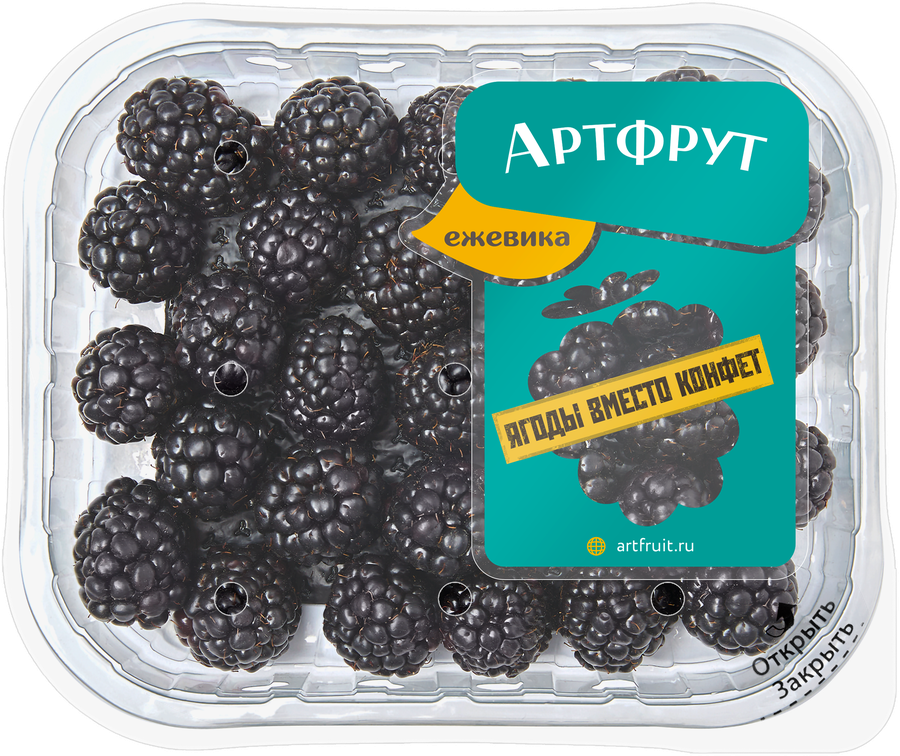 Ежевика АРТФРУТ, 125г