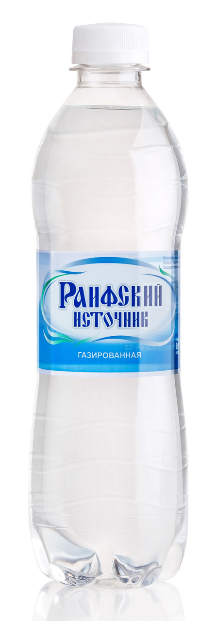 Вода Раифский источник минеральная газированная, 500мл